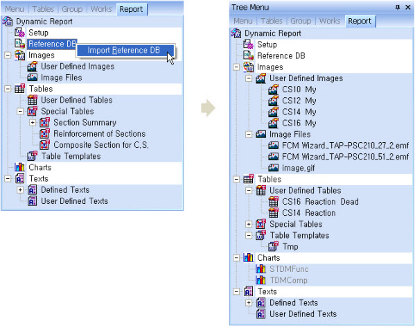Dynamic Report