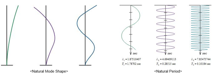 Analysis Case